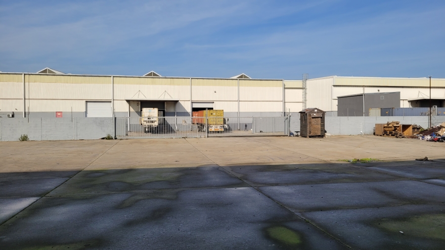 To Let commercial Property for Rent in Montague Gardens Western Cape